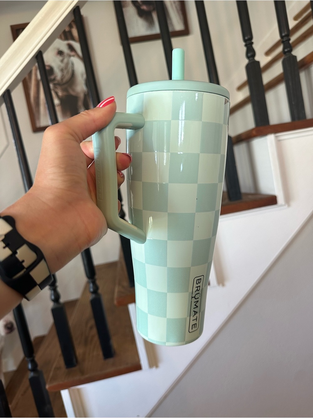 Seafoam Checker Brumate 40oz Limited Edition